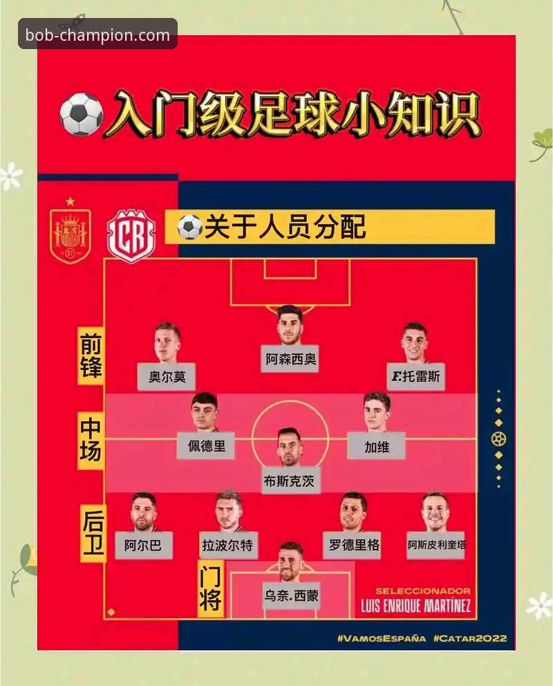 深度剖析意大利队世界杯出局：半岛体育官网赛事数据分析完整指南